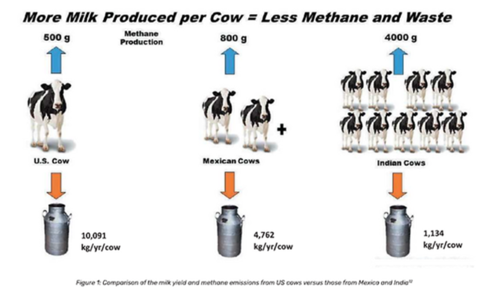 Figure 1: More milk produced per cow = less methane and waste