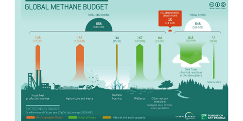 Figure 2: Global methane budget