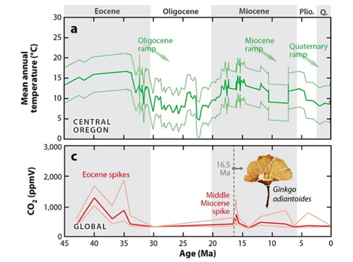 Figure 1: CO2 and Mean Annual temperature over time