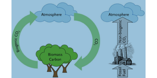 Figure 1: Biogenic carbon recycling among bio-systems and the atmosphere