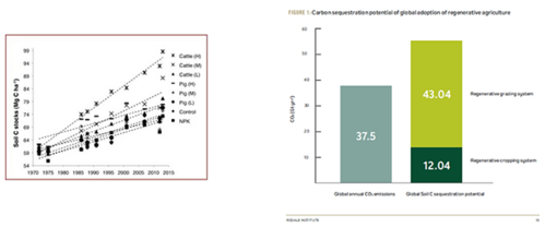 Figure 1: Soil C stocks; Carbon sequestration potential