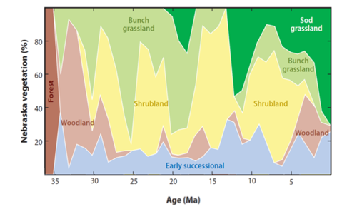 Figure 2: Nebraska vegetation over time