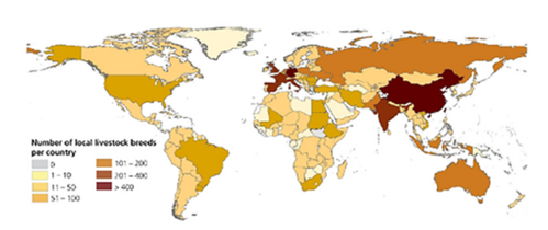 Figure 2: Number of local livestock breeds per country