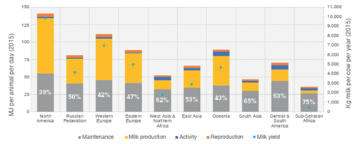 Figure 1:  Increasing % of feed intake utilised in milk production, and decreasing % absorbed in maintenance , as yield increases