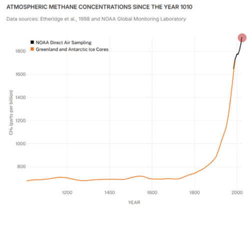 Figure 3: Atmospheric methane concentrations since the year 1010
