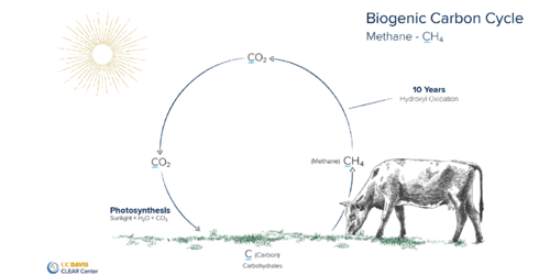 Figure 1: Biogenic Carbon Cycle