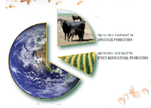 Figure 1: Land use for livestock production vs other